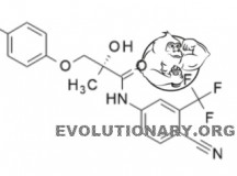 Nandrolone anadrol stack