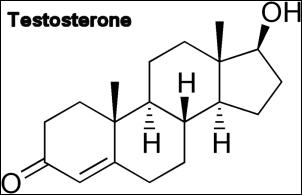 Build testosterone levels naturally