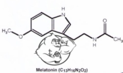 Buy nutrabolics anabolic window