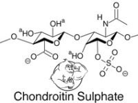 Test cypionate stacked with winstrol