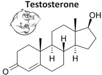 How much does 1 cycle of steroids cost