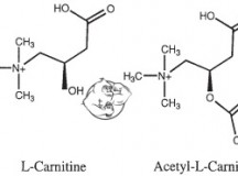 Trenbolone acetate vs anadrol