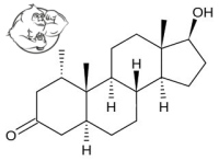 Mesterolone hpta